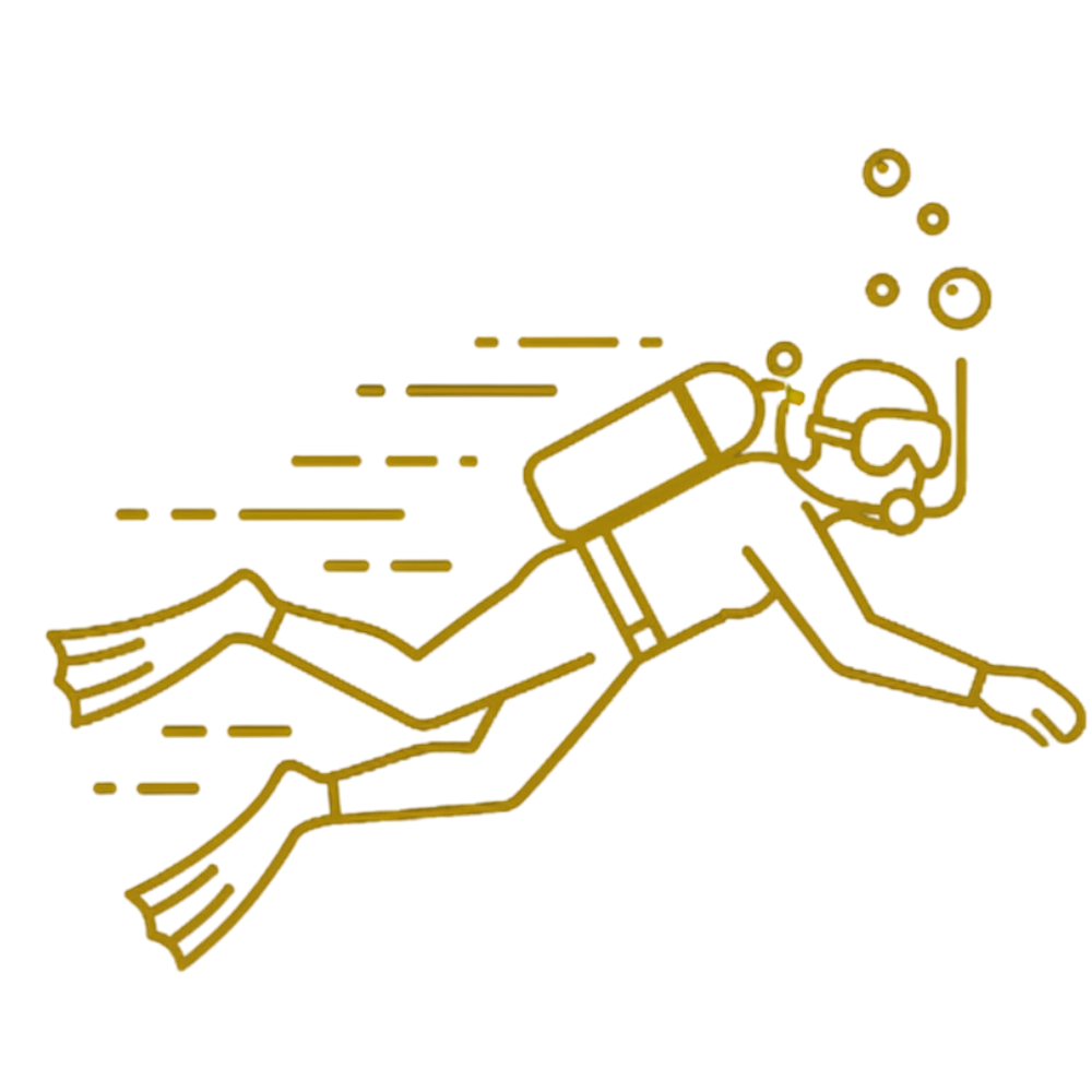 bluedeer tulum scuba diving